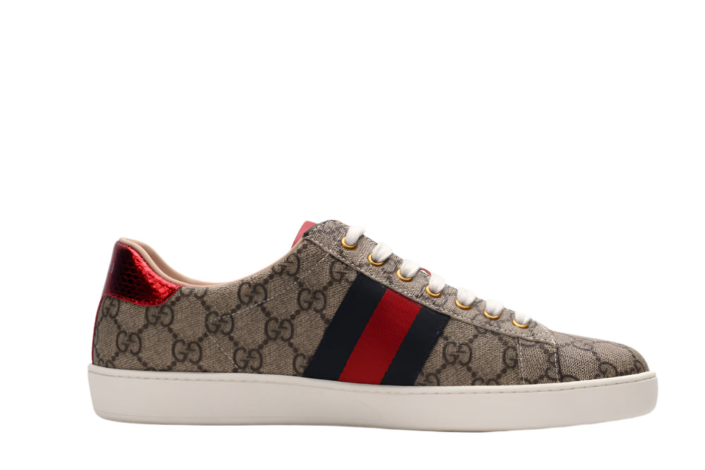 Gucci sneaker with red and blue stripes on a gray background